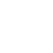 Technical Artist